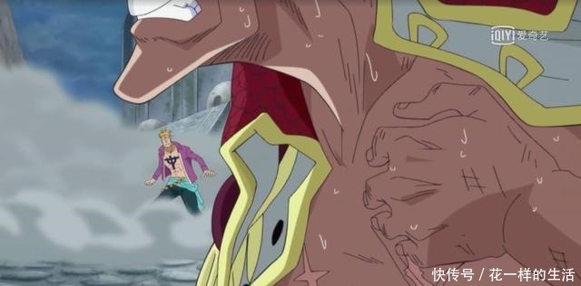 白胡子|海贼王为何说顶上白胡子仅使用了20%的实力战国说出了答案!