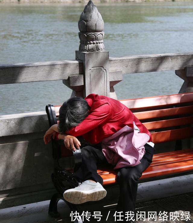 挤来挤去啥也没看到，有的游客肠子都悔青了，躺在草丛里呼呼大睡