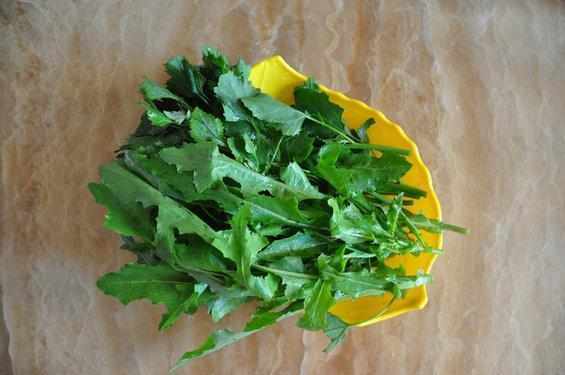 大山珍|農村不起眼的9大山珍，認識4個以上，說明你是真正的農村人！