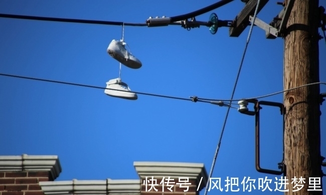 保鲜|22个冷知识,你知道活青蛙放入牛奶中可以进行保鲜吗?