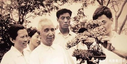 建议|粟裕战略思想从何来?源自一位伟人,源自一线作战,源自一本古书