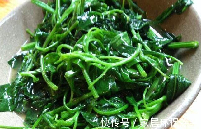 冬病夏治|女人不想老的得快,夏天吃点天然野菜,美容养颜、抗衰老