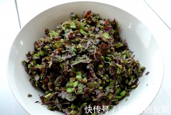 高钙|又到挖野菜的季节,农村这4种高钙野菜不可错过,不吃就太可惜