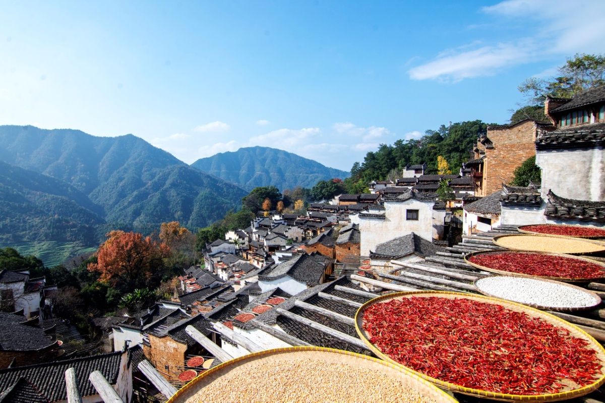  盛大|晒秋人家“枫景”正好 一场盛大的民俗盛宴在此上演