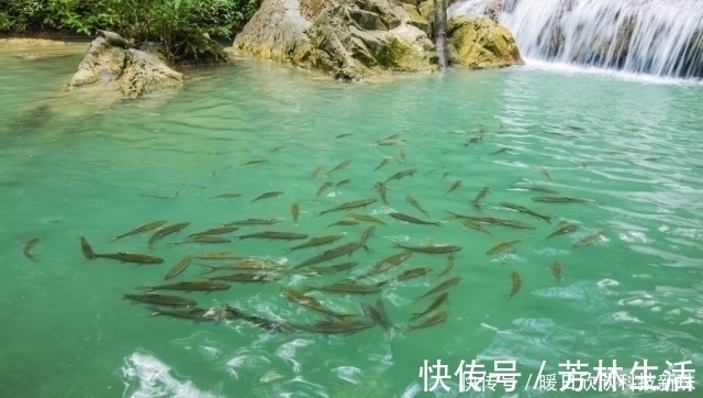 野钓中,子线的长短的选择,往往和你的渔获成正比例