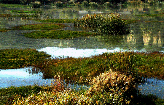 冬季钓鲫鱼你真的行吗?迟来的技巧,上来的都是大板鲫!