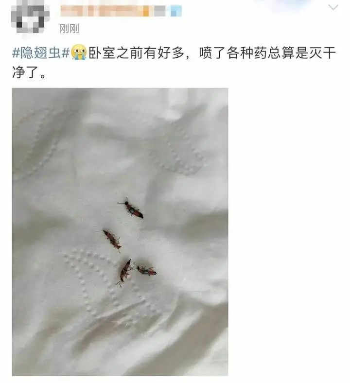 毁容|又是它!女子半夜关灯玩手机,差点致毁容!