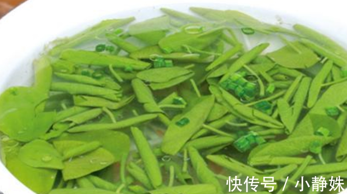 胶原蛋白|这菜胶原蛋白丰富，比燕窝养人，用来凉拌，瘦身刮油快