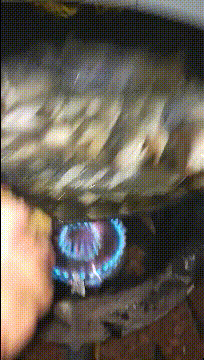 |搞笑GIF:这是北方的做鱼过程,不知道的南方怎么做