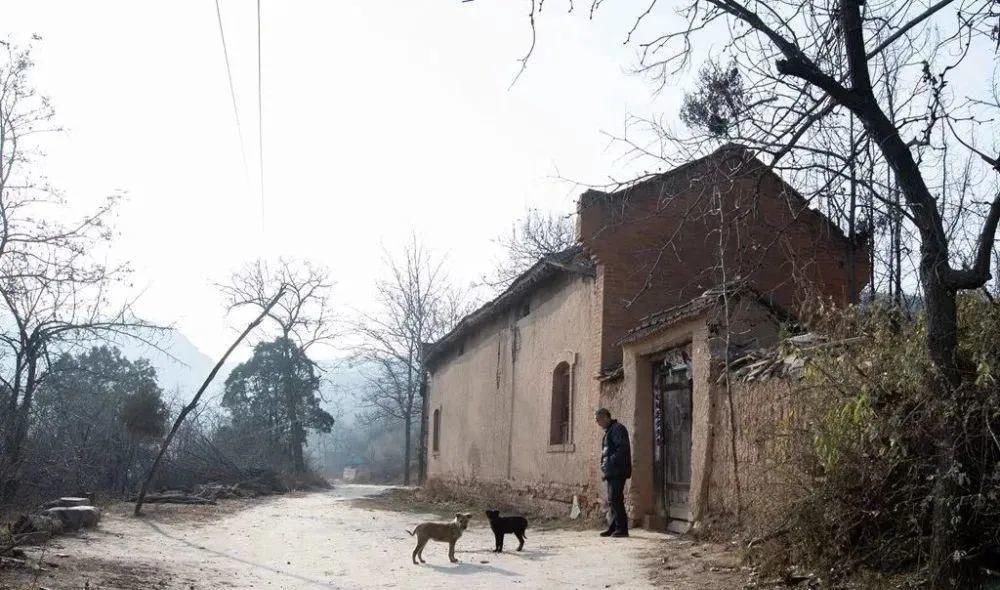 微小说《消失的尹庄——石牛血战老抬的故事》侯守华