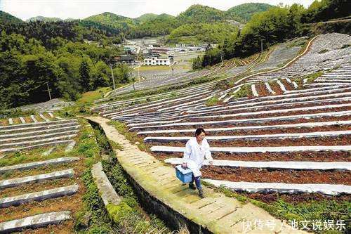 证治准绳|一张治脾虚的大方子！调理腹胀、不消化、大便稀软