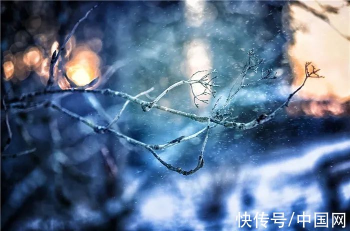 大雪：至此雪盛，愿君冬安|夜读 | 张岱