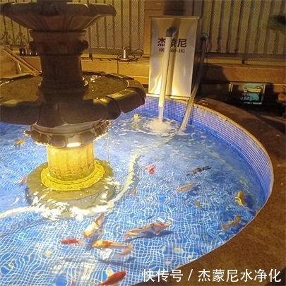 鱼池过滤器|鱼池发绿、发臭的原因是什么?“鱼池过滤器” 解决实际问题