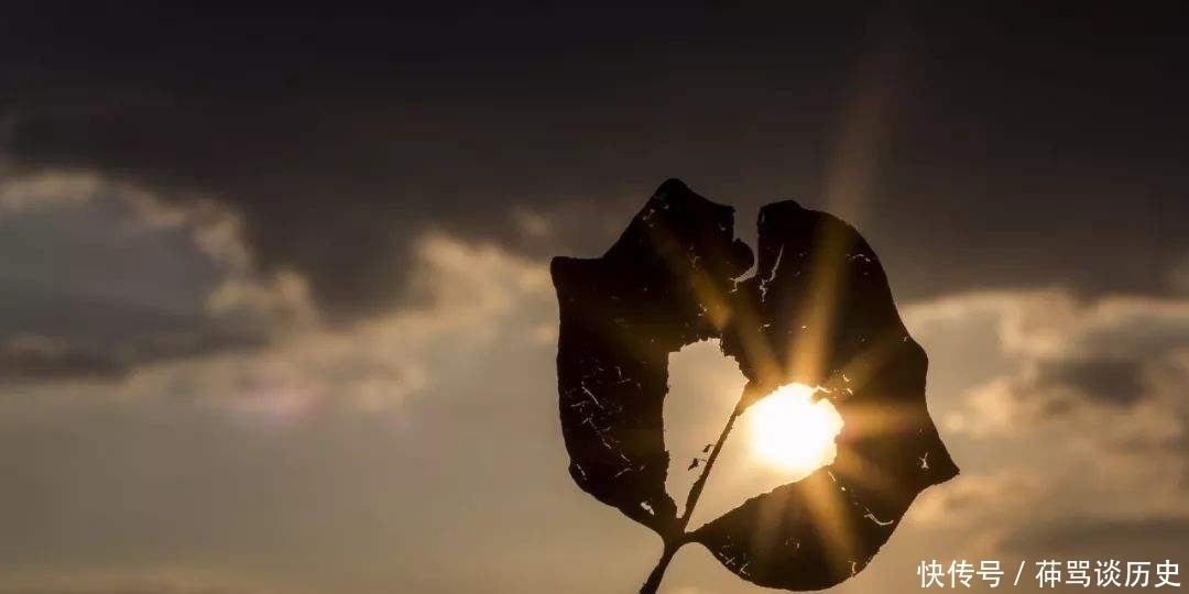 车不能进|读睡诗歌|溃退的残云让大地陷于黑暗,只有萤火虫为过往生灵提灯