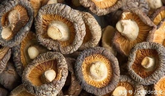 想長壽全靠吃,3種食物不錯過,補充營養,有益健康!