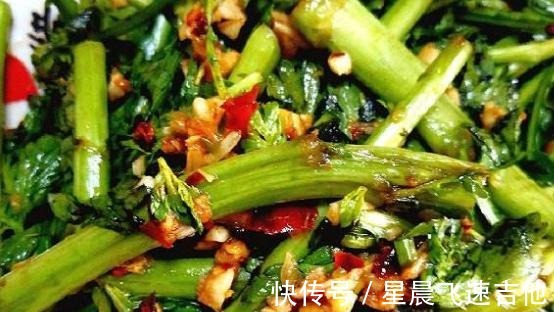 春菊|它是高尿酸的福星，经常吃可以降低身体内的嘌呤含量，预防痛风！