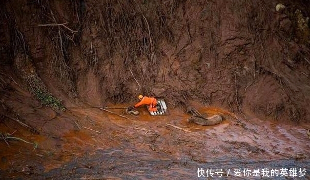 悬崖|游客在山崖边听到古怪叫声，看到真相后通知政府人员立即赶到现场