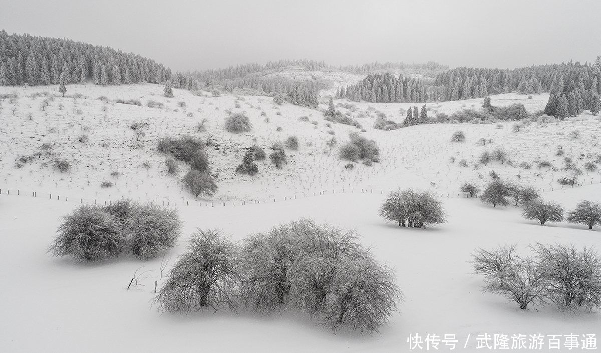 赏心悦目|雪色浪漫，美景养眼，素人美女镜头下的仙女山大片，赏心悦目