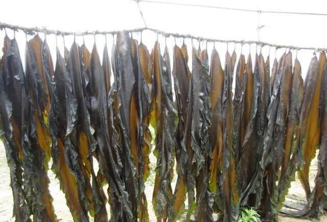 肚子|肚子胖的扣不上裤子 常吃这些“脂肪大克星”, 甩掉赘肉一身轻