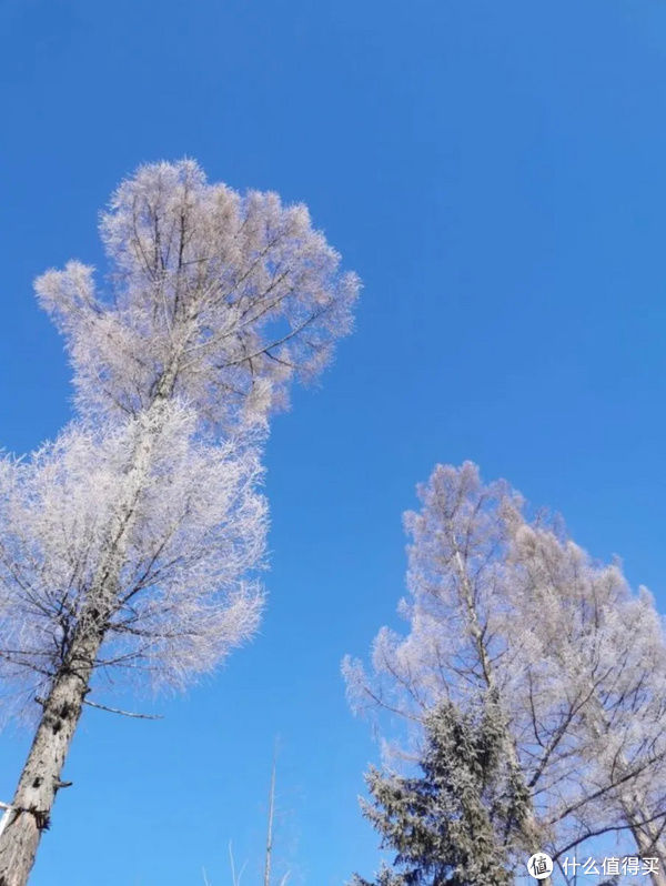 秘密|这个地方的秋天，是傻狍子都不想分享的秘密