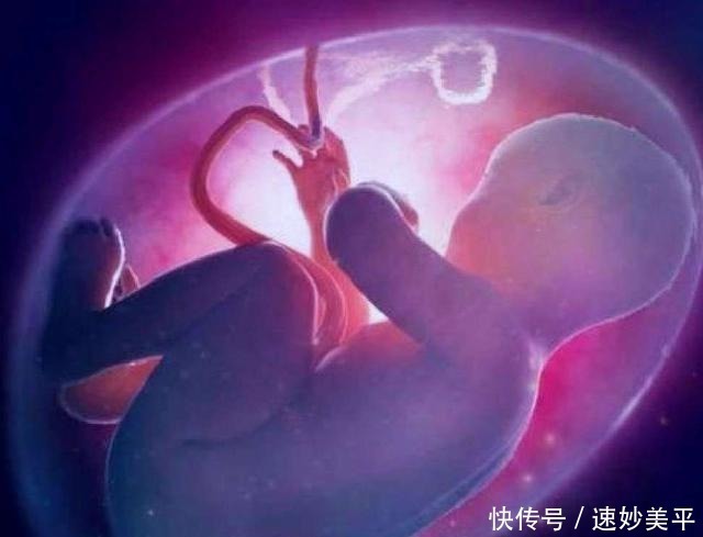 胎脂|怀孕时做到4个“不碰”,可以保持羊水清澈,宝宝生活环境超干净