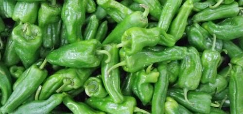 青椒配上它，腰不痛了，脂肪沒了，淡化斑紋，愛美的女性不妨一試