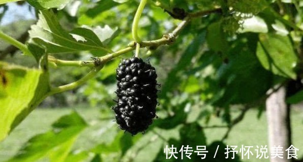 年轻|女性常吃以下食物,肌肤保持年轻红润,不长皱纹,抗衰老,更年轻