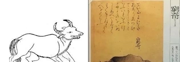 叶限#中日对比:中国《山海经》与日本《山海经》哪里不同?