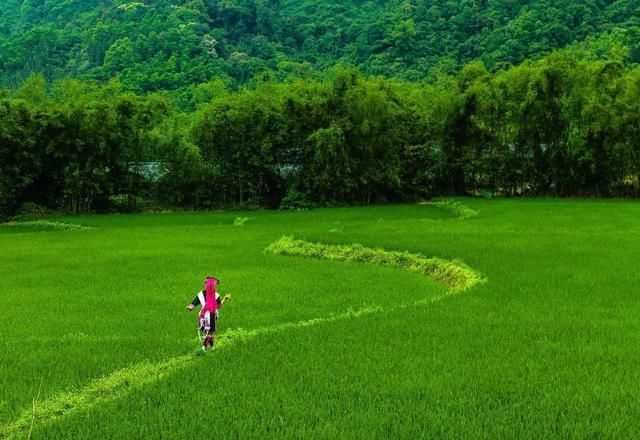 乡村|这个六一，带着孩子到海南“五椰乡村”去撒欢