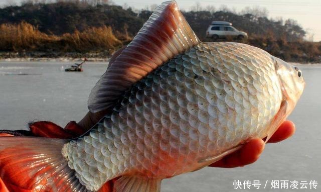 30年钓龄老钓友水库钓鱼,为何管理员说“您老以后别来了”