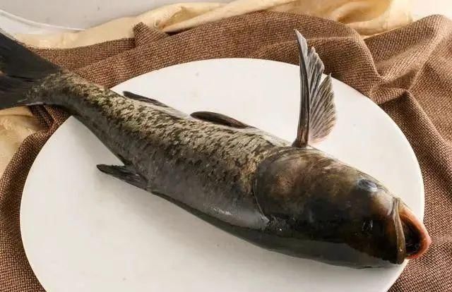 饭桌|四种鱼,趁早撤离饭桌,也许营养少且毒素多,鱼贩:知道越少越好