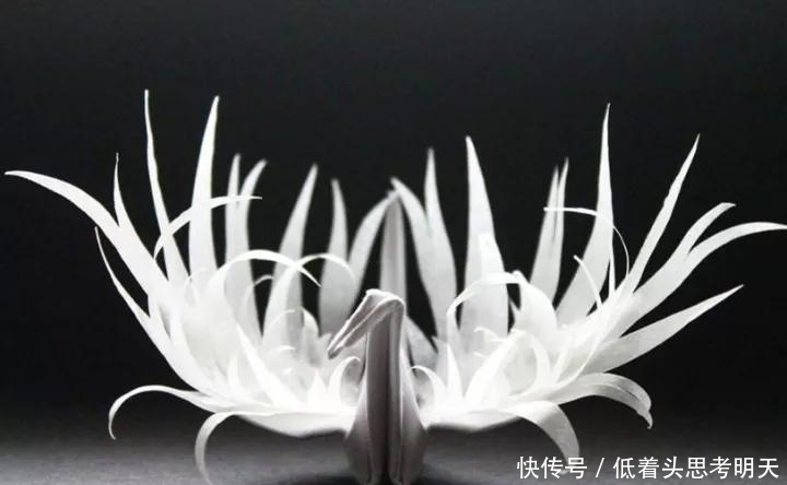  重样|每天折一只千纸鹤，他坚持了1000天不重样，女友被感动到梨花带雨