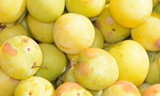 肝脏健康|多吃水果对肝好,但有4种水果易伤肝,希望你尽早拉入“黑名单”