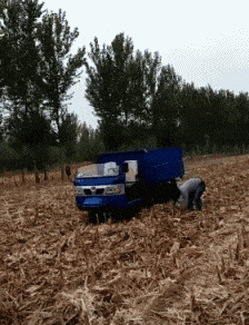 |搞笑GIF:妹子在实验室玩翻了,旁边的队友很卖力