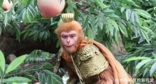 为何孙悟空只咬一口蟠桃就扔桃子放大后就明白了,真难为猴哥了