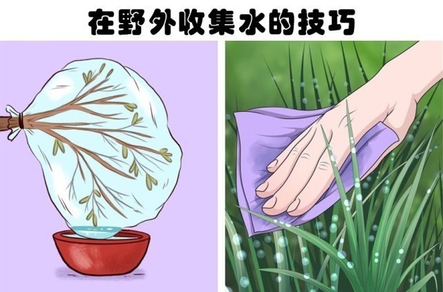 在生活中遇到某些麻烦时,可以带来帮助的6个小技巧