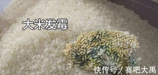一文讲清:米面生虫了怎么办?还能不能吃?