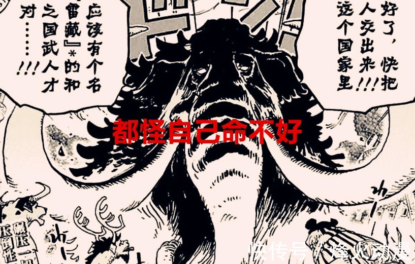 海军|海贼王1036话:同样都是动物系,路奇被称为天才,杰克却被埋汰?