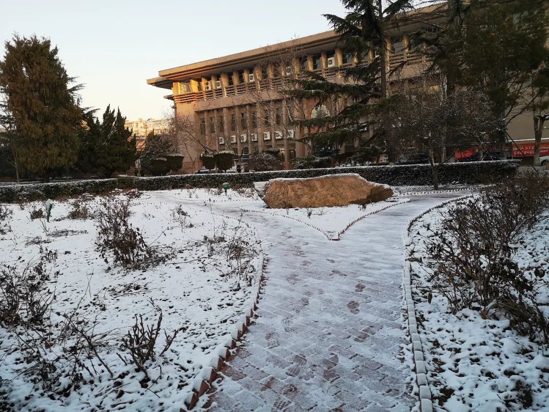 青岛理工大学|今日小雪｜青岛理工大学的雪，你还记得吗？