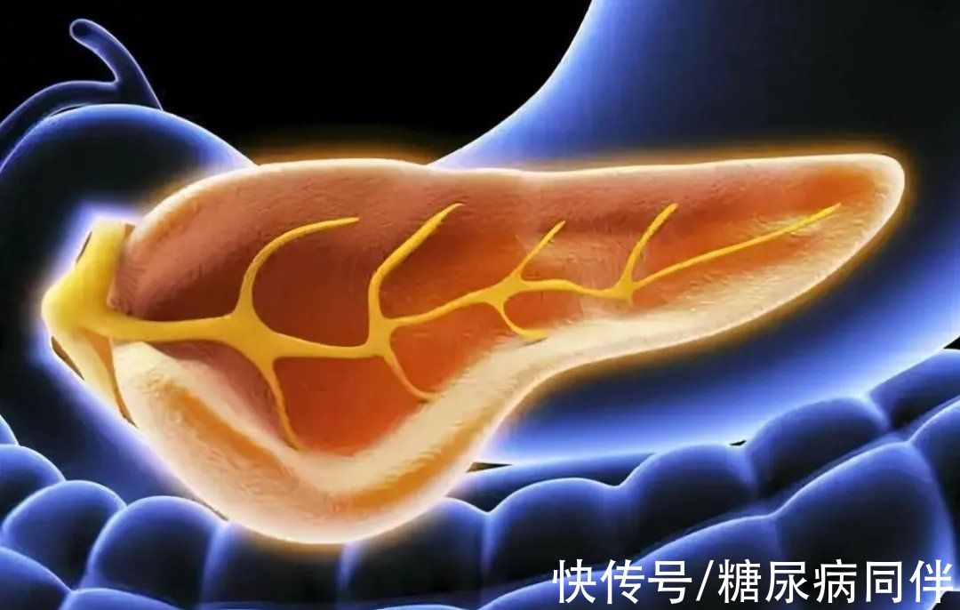 照护|逆转糖尿病，做到这件事有希望