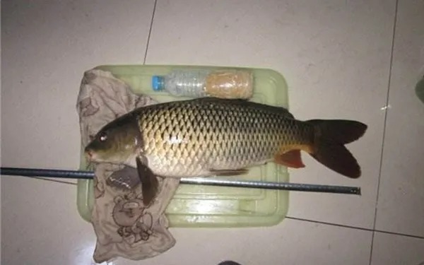 实话实说:如果你没做错3件事,再大的鱼也逃不掉