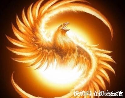 小学绀珠#古籍中发现四千年前曾有人以凤凰为食,此后世间再无凤族的记载