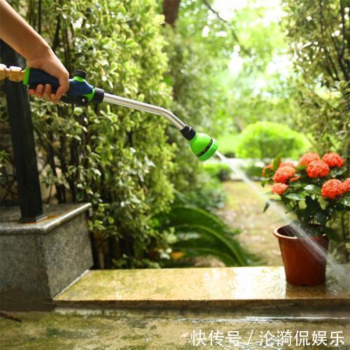 浇水|这三种水,不要用来浇花,浇一盆死一盆,尤其是夏季