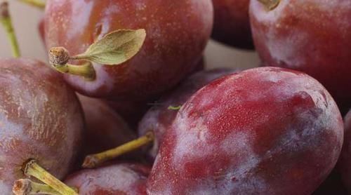 轻松|便秘拉不出来太难受？试试多吃6种食物，或能润肠通便一身轻松