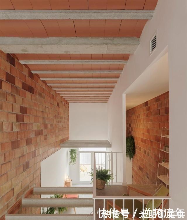 客厅|母女住4米宽的过道,将其改造成60㎡住宅,还带内部庭院,羡慕!