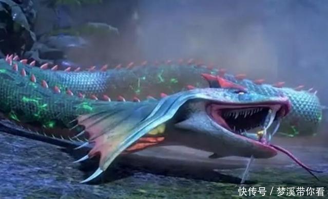 斗罗大陆有十一种颜色的魂环,一般人知道五种,最后六种太神秘!