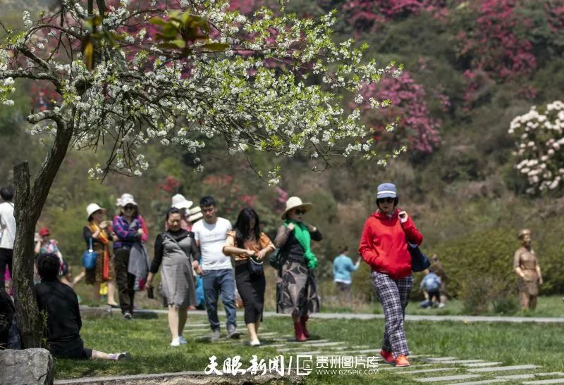 陈熙|贵州8个5A级景区，你想去哪个？