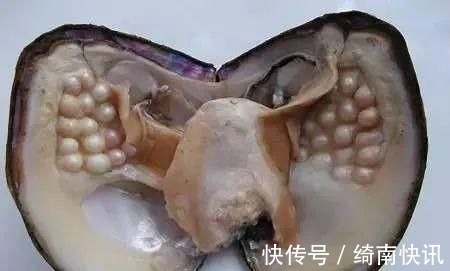 铁叶 挫折就像珍珠里的沙砾,与其对挫折念念不忘,不如着眼于珍珠本身