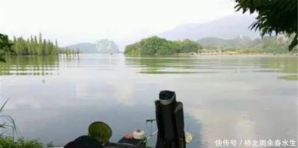 吃香|进入夏季,这些钓点变得“吃香”,底下鱼儿扎堆,不愁钓不到鱼!