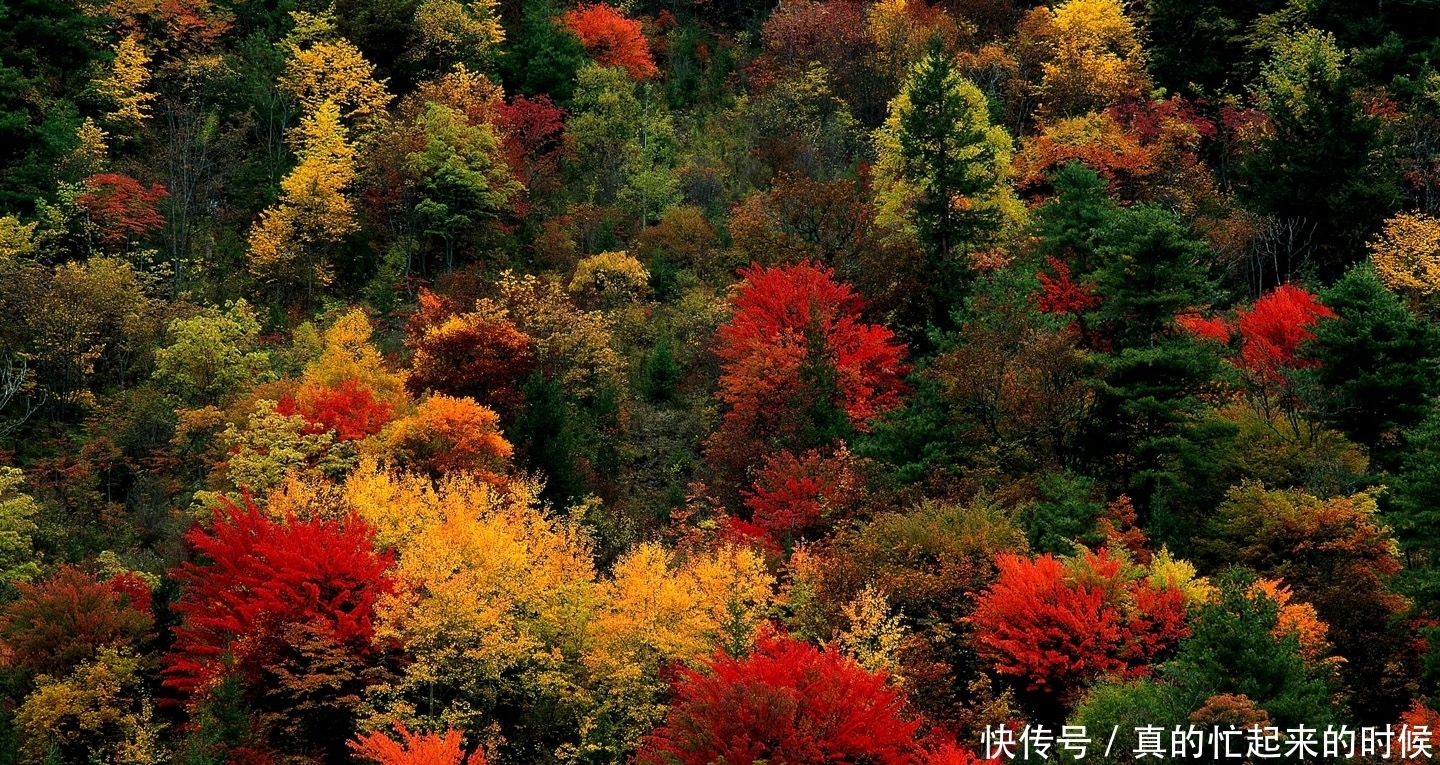不占便宜是教养,人情往来是修养!
